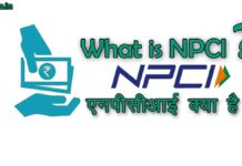 what is npci