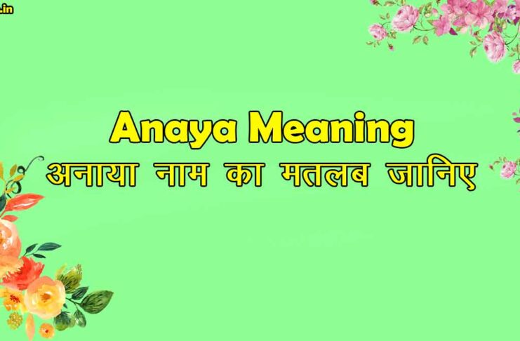 anaya meaning in hindi