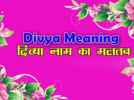 Divya Meaning In Hindi