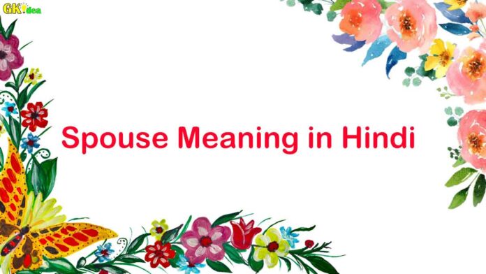 spouse meaning in hindi
