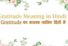 Gratitude Meaning in Hindi
