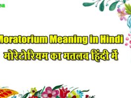 Moratorium Meaning in Hindi