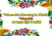 Vulnerable Meaning in Hindi