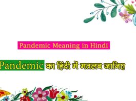 Pandemic Meaning in Hindi