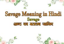 Savage Meaning in Hindi