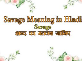 Savage Meaning in Hindi