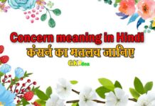 concern meaning in hindi