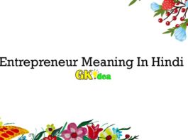 Entrepreneur Meaning In Hindi