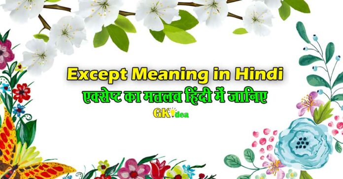 Except Meaning in Hindi