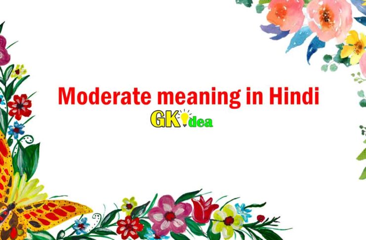 Moderate meaning in Hindi