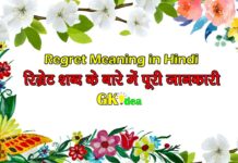 Regret Meaning in Hindi