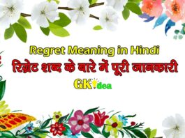 Regret Meaning in Hindi