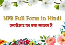npr full form in hindi