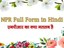 npr full form in hindi